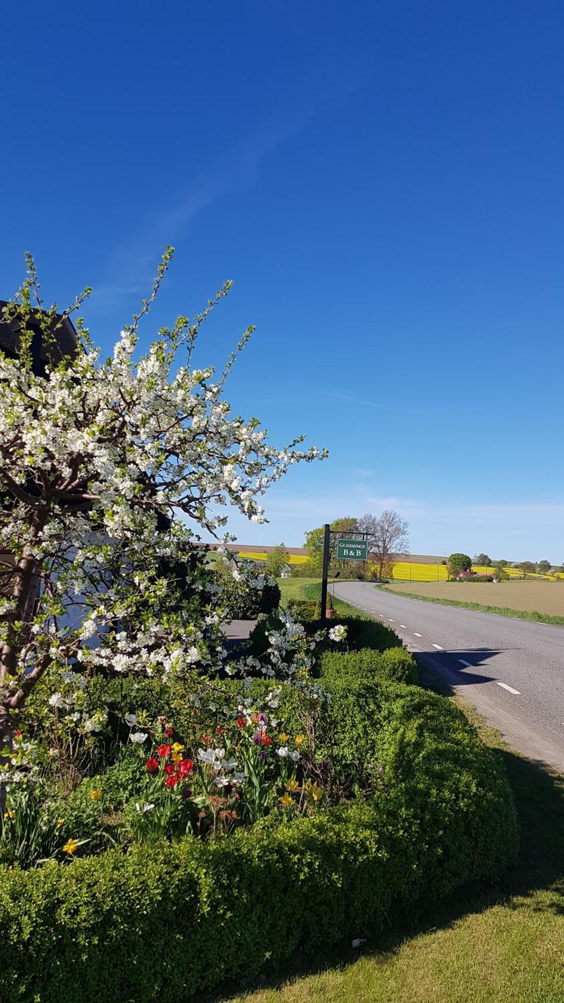 Glimminge Bed & Breakfast Simrishamn Exterior foto